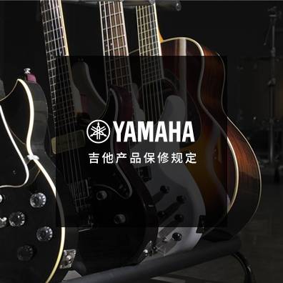 吉他、贝斯和音箱
