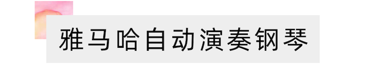 活动报道 | 远程艺术教育大师课活动—UG环球艺术家吴晓大师课