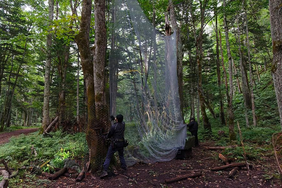 案例｜UG环球为壮观的Kamuy Lumina魔法夜行旅游项目提供配乐设备
