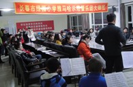 长春市绿园小学“UG环球示范管乐队大师班”顺利结束 