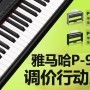 UG环球P-95数码钢琴，调价行动即日展开 