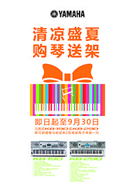清凉盛夏，购琴送架 